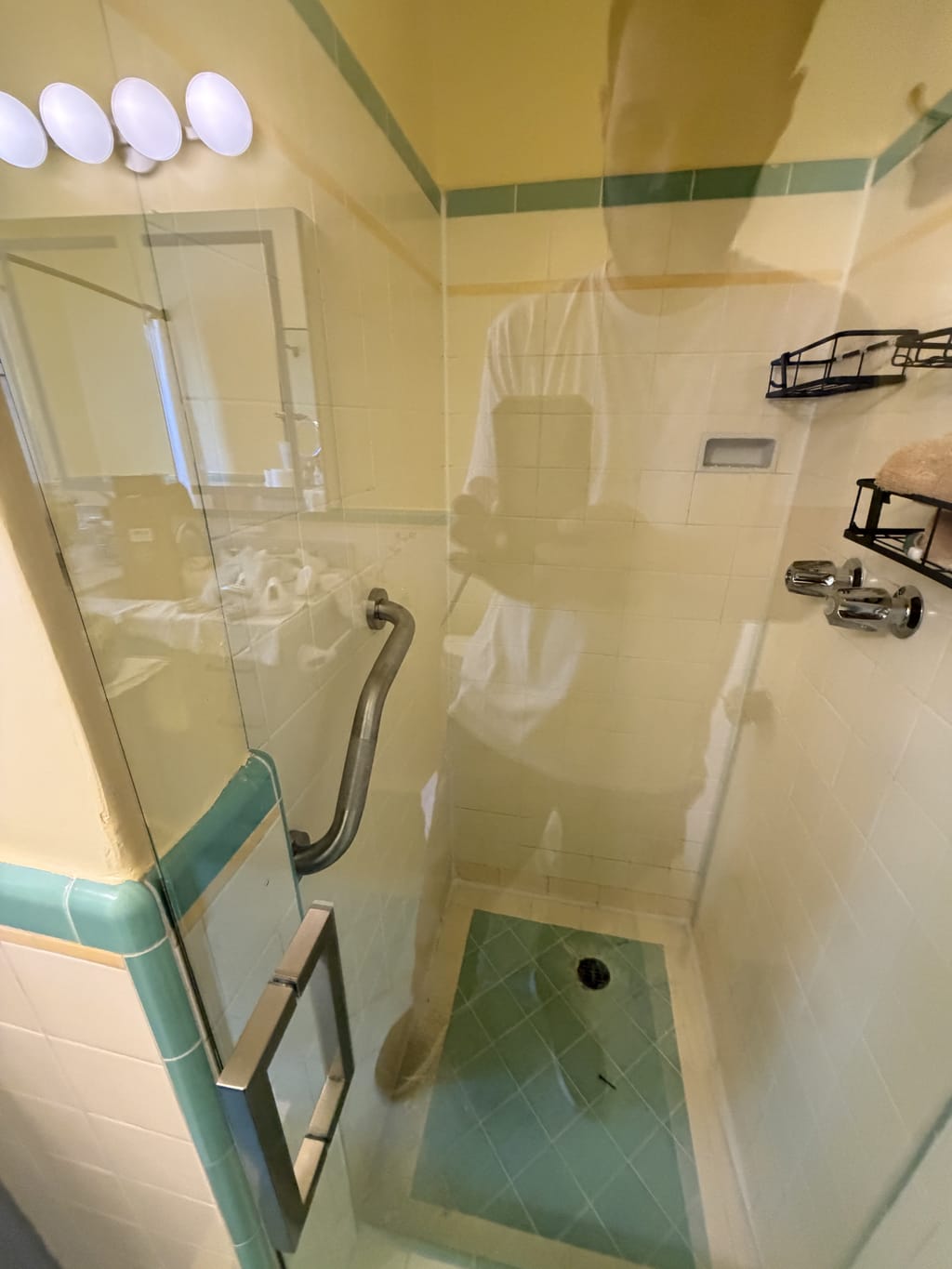 Installed grab bar seen through the shower glass door in Beverlywood, CA 90035