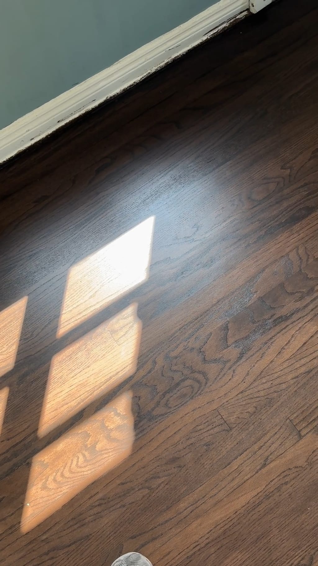 Sunlight across the refinished dark-stained hardwood, grain showing through in Beverlywood, CA 90035
