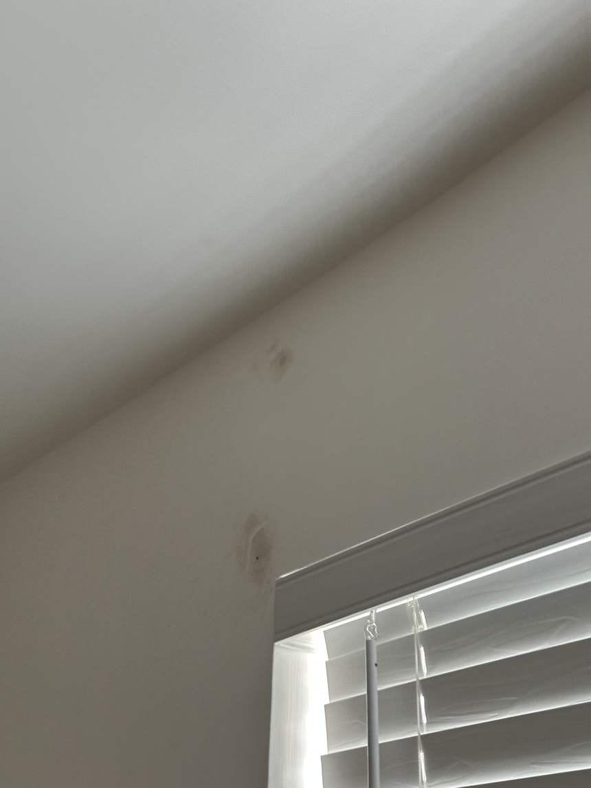 Damage at the ceiling-wall corner by a window in Winnetka, CA 91306