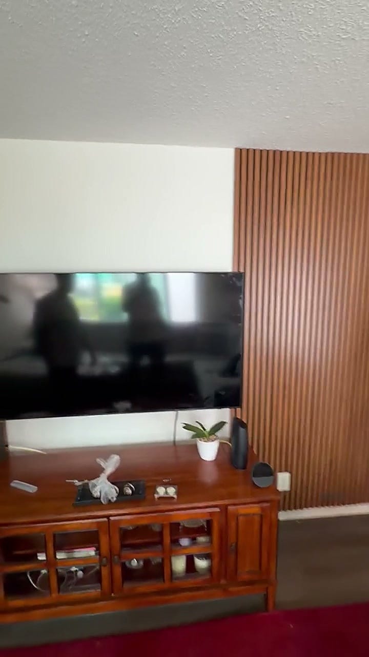 Mounted TV beside a wood acoustic slat panel feature wall in Burbank, CA 91506